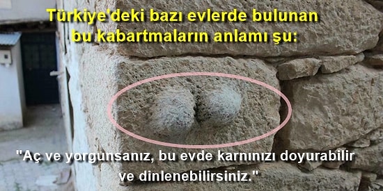 Sizi Şaşırtmakla Kalmayıp İçinizdeki İyilik Hissini Yeşertecek 13 Pozitif Bilgi