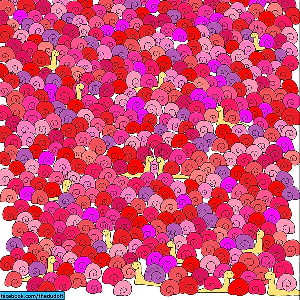 6. Среди улиток попытайтесь найти сердечко: