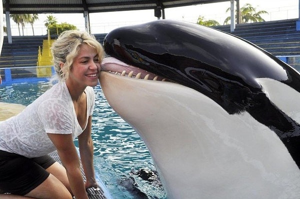 2. Шакира с касаткой :)