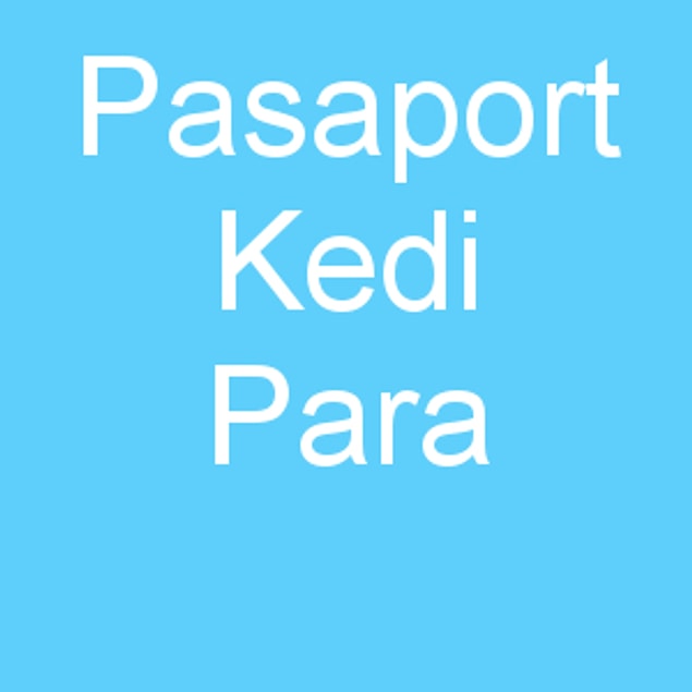 Pasaport Kedi Para!