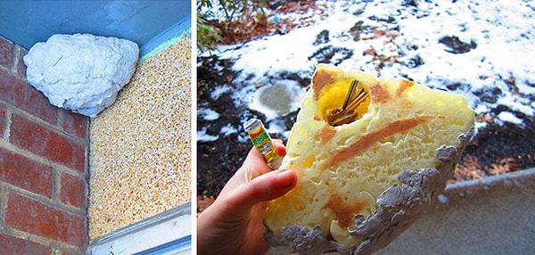 17. Место для запасного ключа в виде осиного гнезда