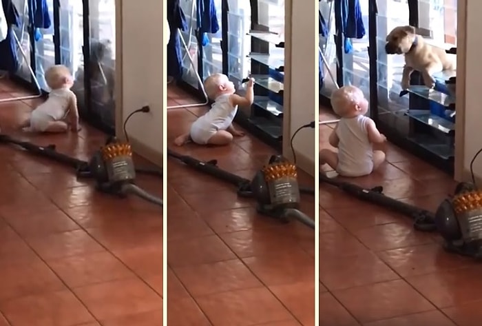 Soğukta Dışarıda Kalan Köpeği Eve Alan Dünyalar Tatlısı Ufaklık