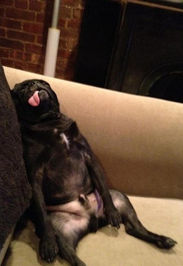 5. "Охх... Что там было? Сначала вино, потом шампусик, за ним коктейли..."