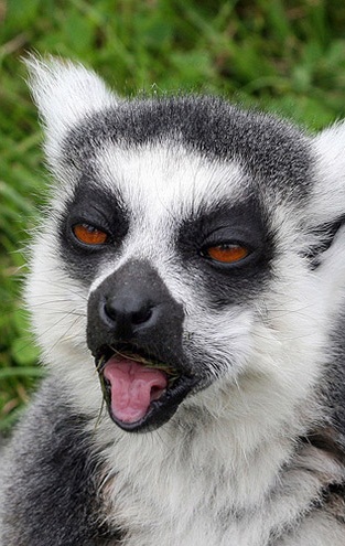 8. "У меня во рту пересохло. И запах ффф... отвратительный!"