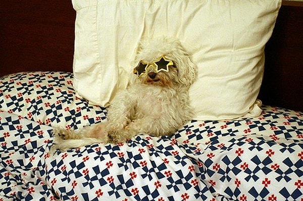 14. "Ну все, теперь неделю отдыхать в постели"