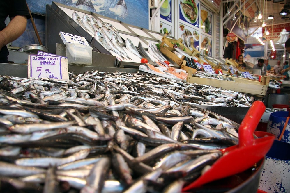 Bitcoin'den Hızlı Yükseliyordu: Gürcistan'da Avlanan Hamsiler Tezgahlarda Yerini Aldı