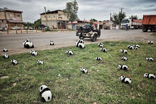 5. İran sokaklarında panda istilası