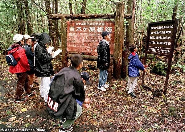Japonya'da Fuji Dağı'nın eteklerinde Aokigahara Ormanı diye bir orman yer alıyor. Bu ormanda yaşanan intihar olaylarının sıklığı adının 'İntihar Ormanı' olmasına sebep oldu.