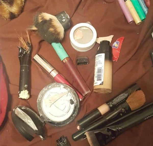 5. А вот собака сожрала целую косметичку! 😲