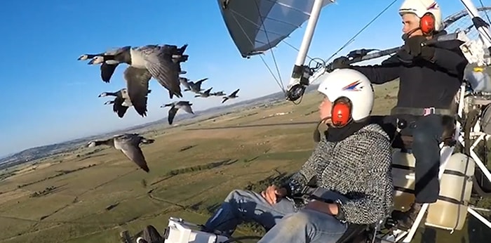 Kuş Sürüsüyle Yan Yana Uçan Adamın Muhteşem Ötesi Deneyimi