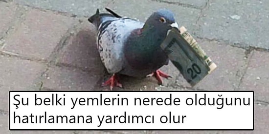 Gün İçinde Karşılaştıkları Nesne ve Hayvanları Bülbül Gibi Şakıtma Konusunda Çığır Açmış 15 Kişi