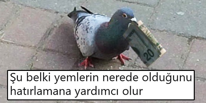 Gün İçinde Karşılaştıkları Nesne ve Hayvanları Bülbül Gibi Şakıtma Konusunda Çığır Açmış 15 Kişi