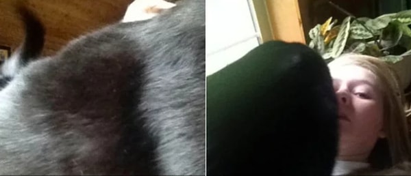 6. Они любят селфи не меньше вашего 😩