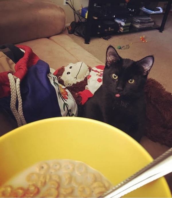 17. А поесть - само собой святое 😋😋