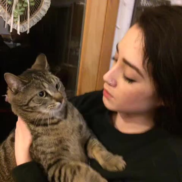 21. Ну и, конечно, не все кошки любят целоваться 😍😅