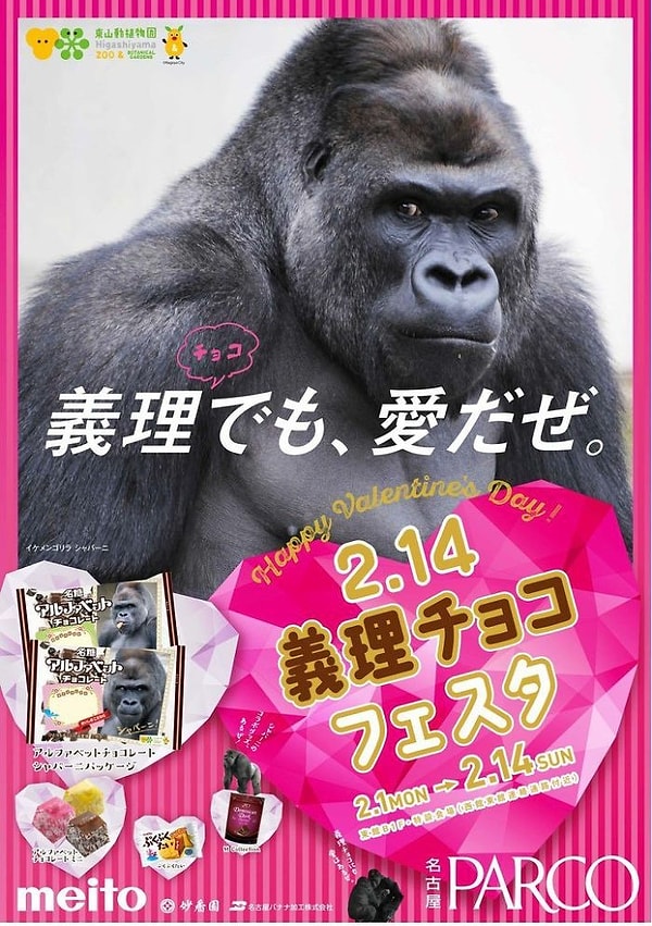 Фотогеничность также относится к отличительным способностям Шабани 😍