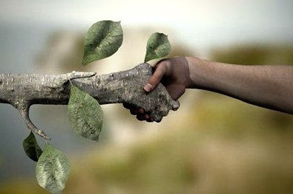 1. Древнейшее философское учение о всеобщей одушевленности мира: