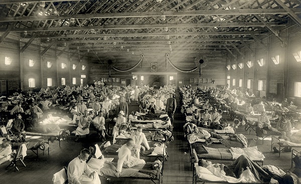 8. Эпидемия чего началась в 1918 году?