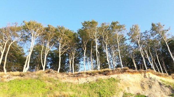 16. Попробуйте отыскать на этом фото семью...