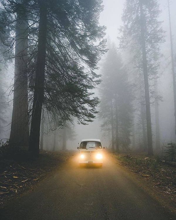 4. Таинственное путешествие.