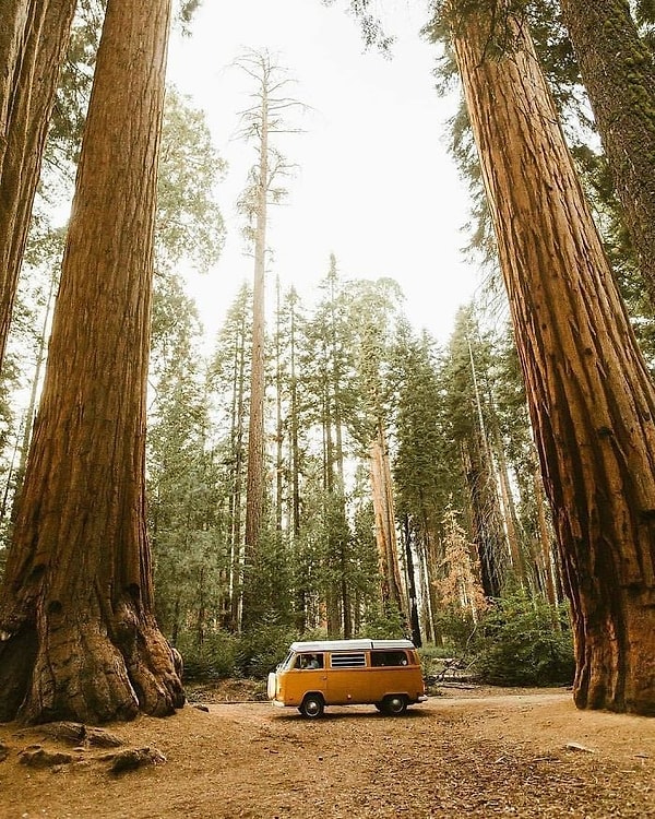 10. Любоваться величием природы.