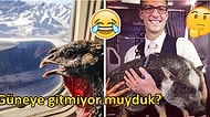 Çoğu Zaman Otobüse Bile Alınmayan Tüylü Dostlarımızın Uçaktaki Hallerinden 26 Efsanevi Kare