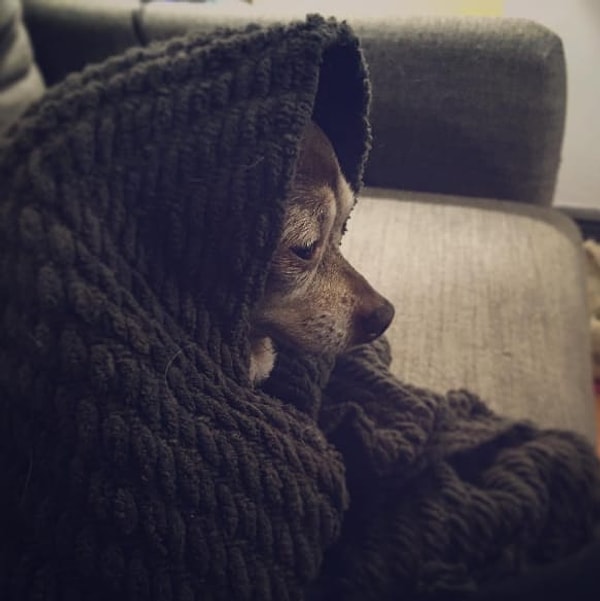 10. Не держите в себе отрицательные эмоции