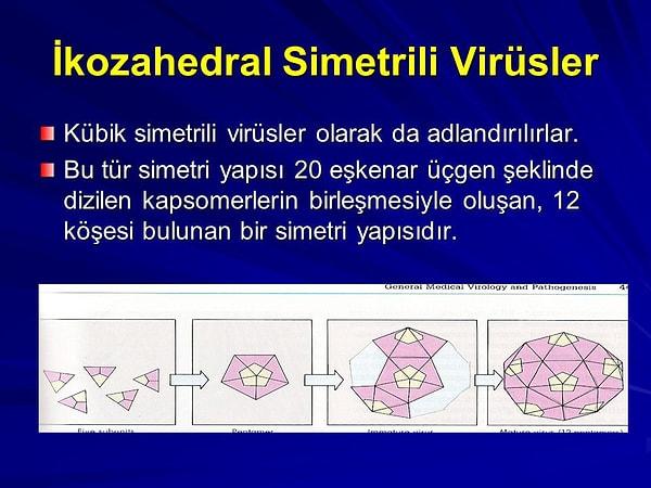 2.) Kübik Simetrili Virüsler