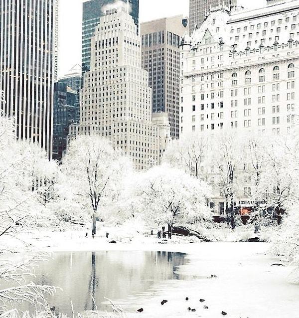 2. "Buzla kaplı New York." 😱