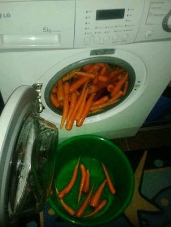 23. Зайцы тут живут, что ли?.. 🥕