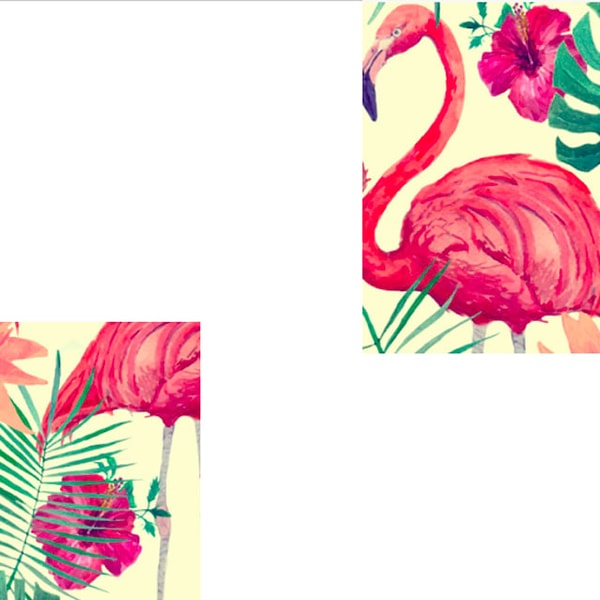 3. Сколько ананасов было на рисунке с фламинго?