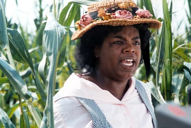Daha çok televizyon programı ile ünlenen Oprah Winfrey'nin ise Steven Spielberg'in Mor Yıllar filmindeki rolüyle bir Oscar adaylığı da bulunuyor.