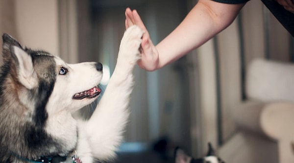 7. А в данном случае?