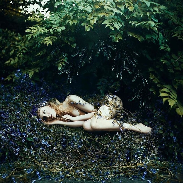 13. Возвращение к истокам