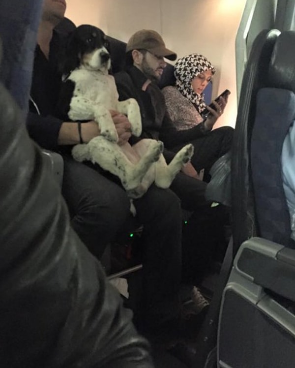 7. Вот так мордашка ❤️❤️