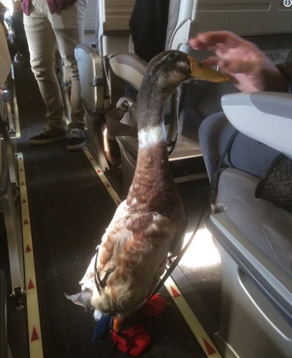 9. Главное - не отставать от моды!