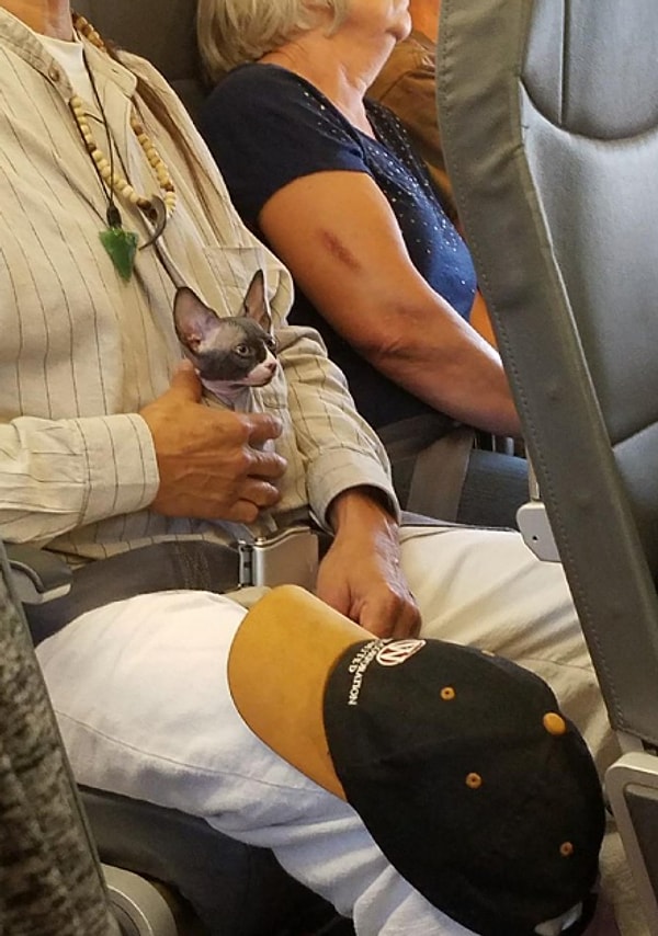 11. Где же найти беруши на такие уши??? 😌