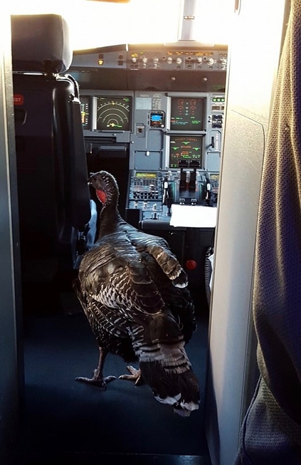 21. Все по местам!