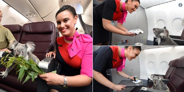 26. Всем счастливого пути! 😍😘