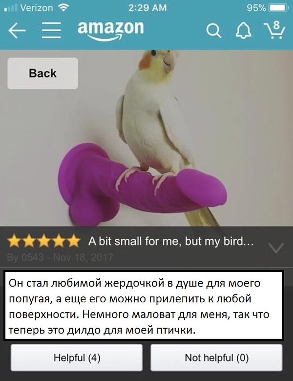 6. Девушка, чей попугай обрел себе новое развлечение