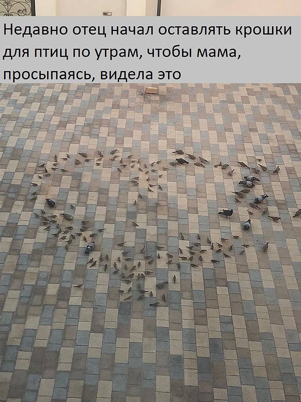 10. И, наконец, муж, который придумал самую романтичную вещь на свете для своей жены