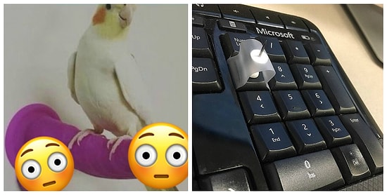 10 креативных везунчиков, которые уже успели завоевать новый 2018 год