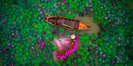 Топ 20 лучших фотографий 2017 года, снятых с помощью дронов