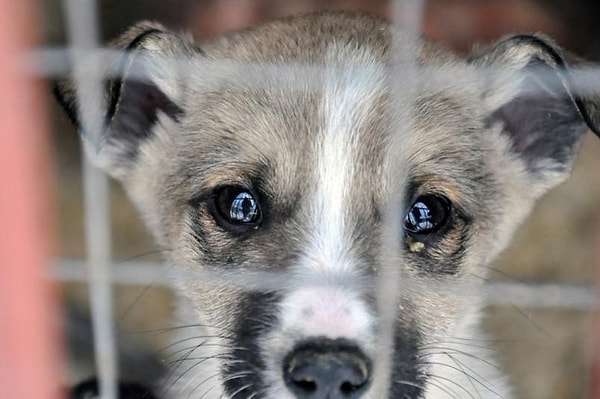 3. Способны ли вы на жестокость?