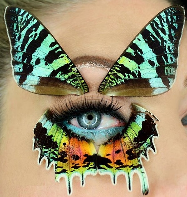 7. Урания мадагаскарская