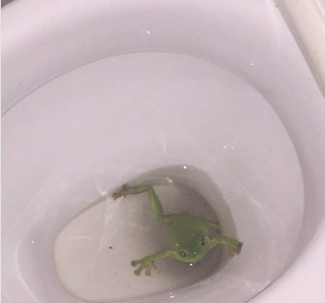 6. Kim önce gelirse o kapar, yapacak bir şey yok. 😒