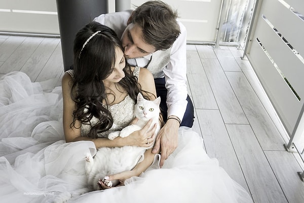 После свадьбы она хотела сделать фотографии вместе с ее котом Артуром. 😻