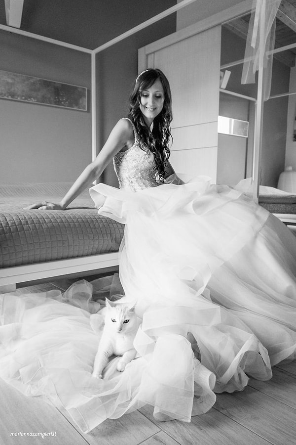 Так девушка начала собирать коллекцию свадебных фото с кошками 😍