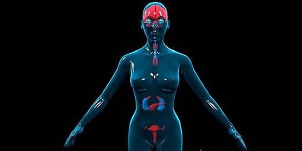 9. Что является женским половым гормоном?