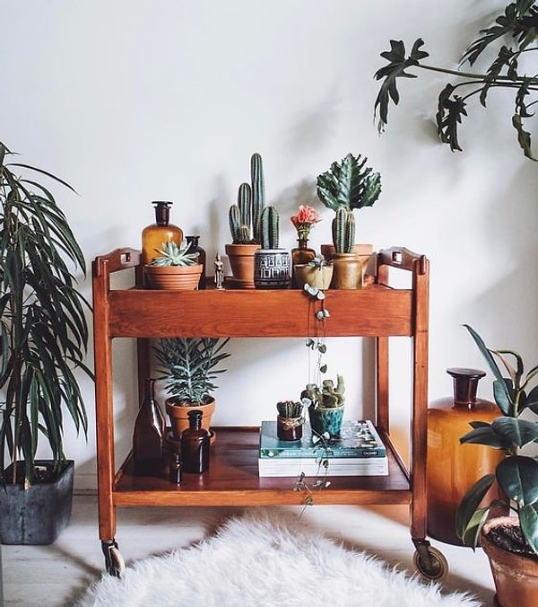 3. Вдохновитесь силой природы с множеством растений и горшков!